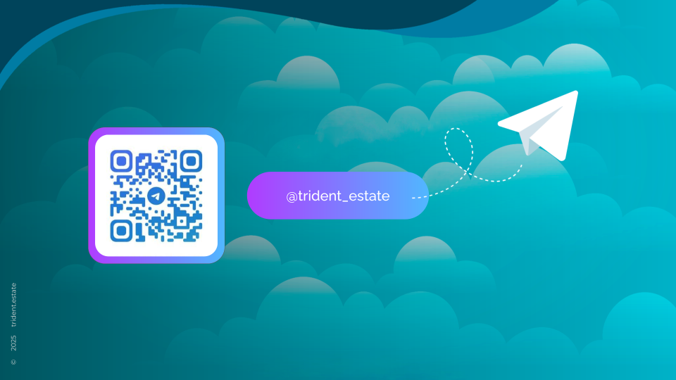 Official Telegram Channel
