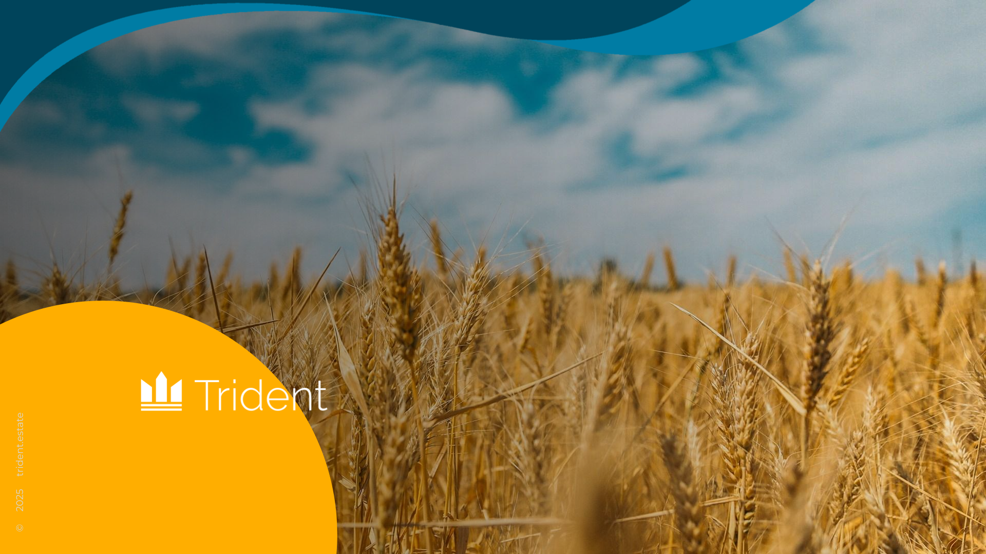 Updated Blog on TridentEstate