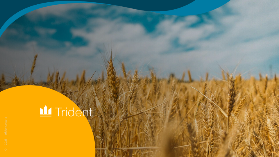 Updated Blog on TridentEstate